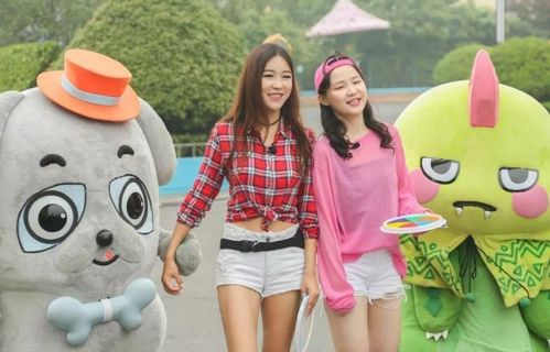 2024澳彩开奖记录查询|探寻历史背后的秘密与故事_可选版.1.622